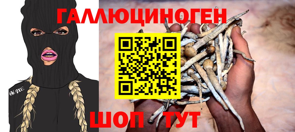 Псилоцибиновые грибы ЛСД Клинцы
